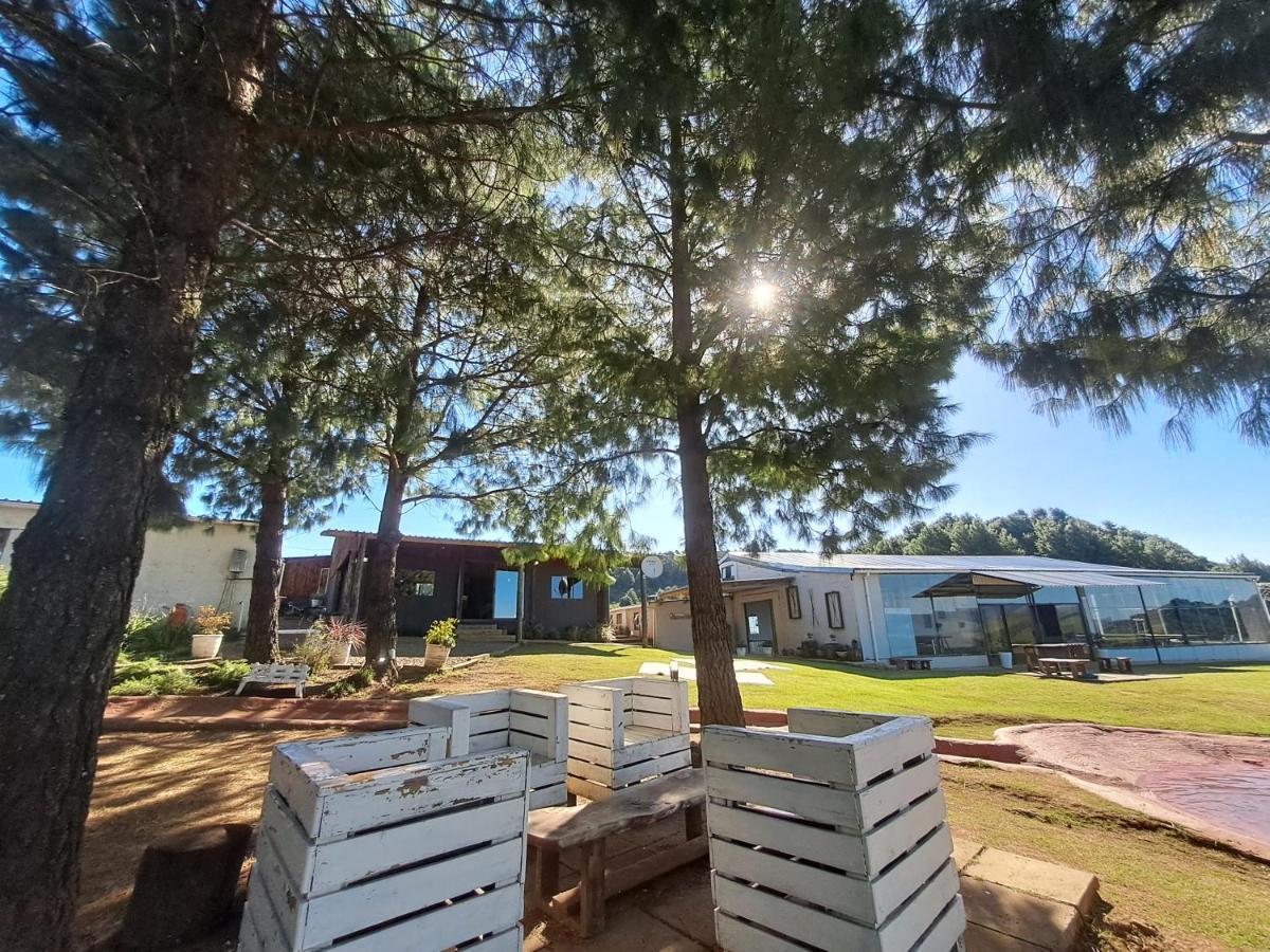 Dargle Forest Lodge Luaran gambar