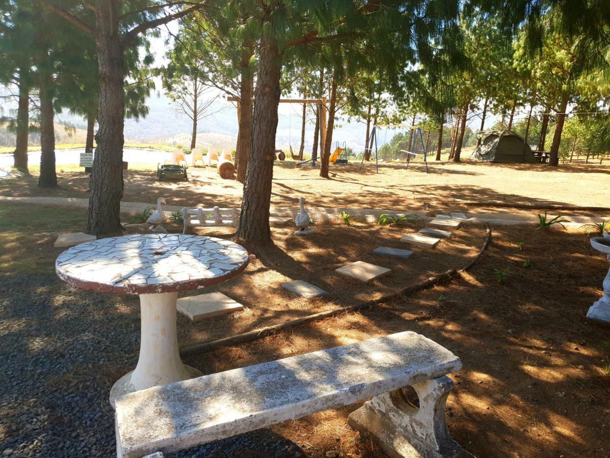 Dargle Forest Lodge Luaran gambar