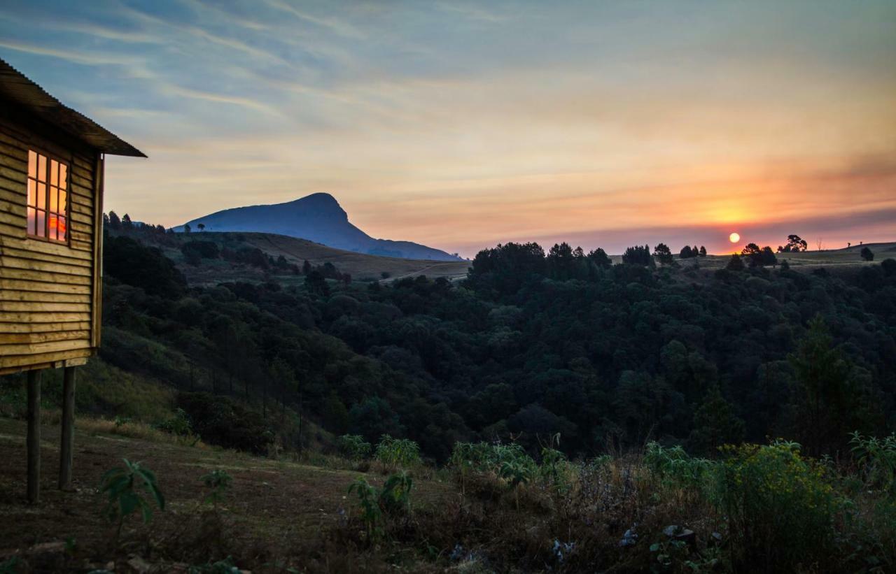 Dargle Forest Lodge Luaran gambar