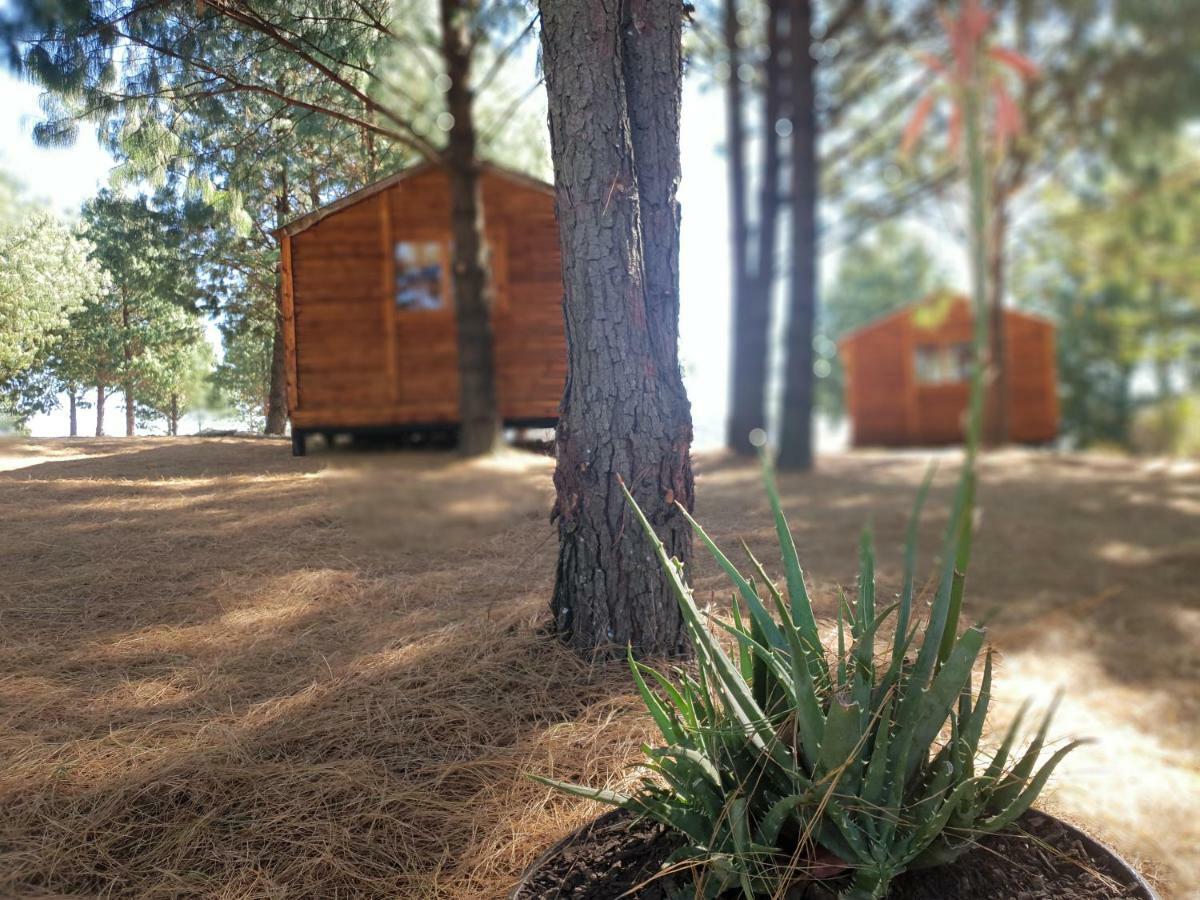 Dargle Forest Lodge Luaran gambar